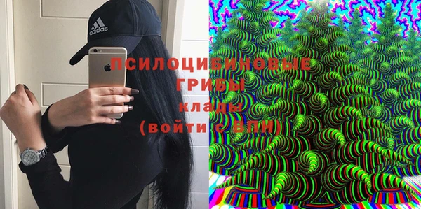 хмурый Кулебаки