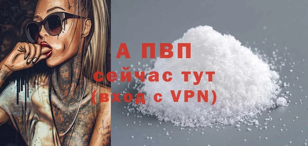 ГАЛЛЮЦИНОГЕННЫЕ ГРИБЫ Костерёво