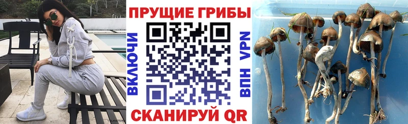 kraken ССЫЛКА  Называевск  Галлюциногенные грибы мухоморы 
